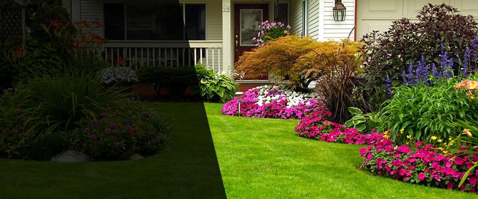 Watkinsville Landscapers