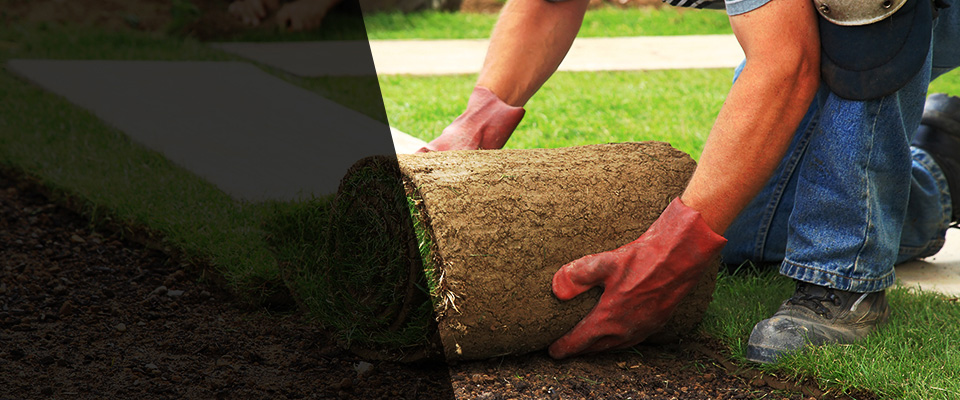 Watkinsville Landscapers